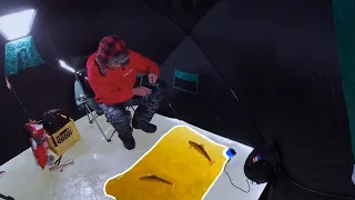 FIRST ICE! Sight Ice Fishing in SHALLOW Water (Catch and Cook)