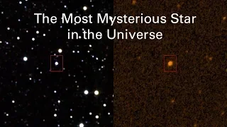 Jim Davenport – The Most Mysterious Star in the Universe