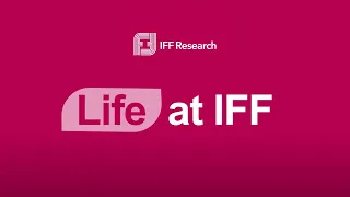IFF Research: life at IFF