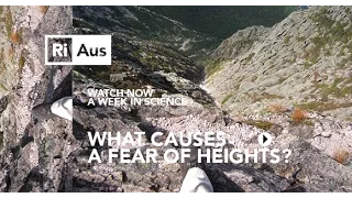 What causes a fear of heights? - A Week in Science