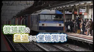 【迂回貨物&配給】普段通らない横浜駅を通過する貨物列車【爆音ジョイント】