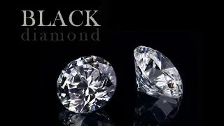 Black Diamonds   The Rise of Rich Black South Africans