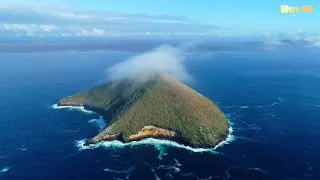Thế Giới Động Vật-    Cuộc Sống Nơi Đảo Hoang Tận Cùng- Phần 1