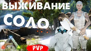 ARK ➤ СОЛО ВЫЖИВАНИЕ | НАРЕЙДИЛ Кучу Ресурсов в Ark Survival Evolved!