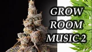 Music for Cannabis Grow 2 🌱 Plant Growth Music! (8hr) Grow Room Music!