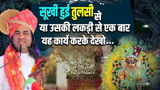 सूखी हुई तुलसी से या उसकी लकड़ी से एक बार यह कार्य करके देखो... #dnthakurji #tulsi