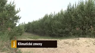 Klimatické zmeny v lesoch obhospodarovaných Lesy SR š.p.