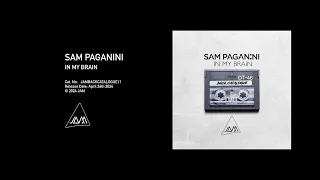 Sam Paganini - In My Brain