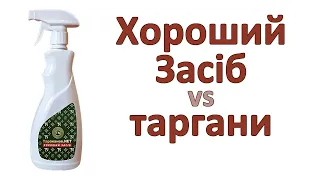 Хороший Засіб вбив тарганів за 2,5 години