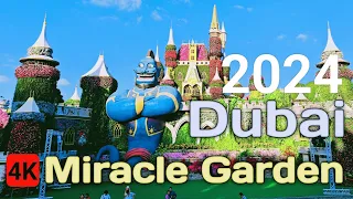 Miracle Garden Dubai 2024 | The world’s largest natural flower garden | Walking Tour