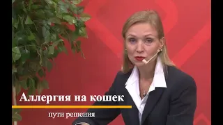 Аллергия на кошек: пути решения проблемы