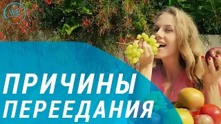 Как избавиться от пищевой зависимости? Почему мы много едим?