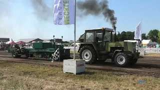 Trecker Treck Lalendorf 2023 - Oldtimer bis 5,5t