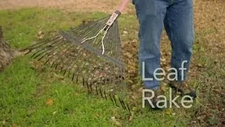 How to Use a Leaf Rake : Garden Tool Guides