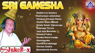 Sri Ganesha Kannada Devotional Songs | Gowri Ganesha Special Songs | Akash Audio