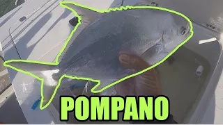 I Was Glad I Brought Some Goofy Jigs To Pompano Fish With