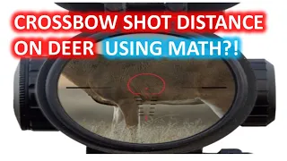 Crossbow Shot Distance On Deer USING MATH?! - Crossbow Speed vs. Deer Reaction Time