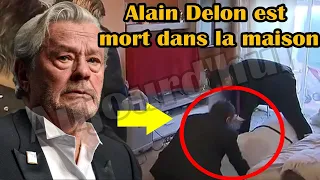 🔆 Anthony Delon a fondu en larmes en voyant Alain Delon allongé inconscient dans sa maison de Douchy