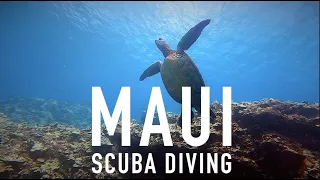 SCUBA Diving | Maui, Hawaii