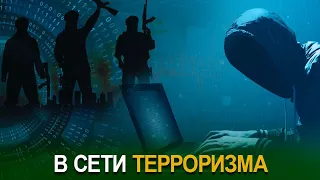 В сети терроризма