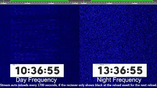 The Goose Voice Message 4310kHz 1036UTC 03/30/2023