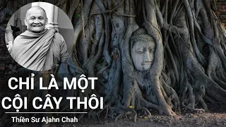 Chỉ Là Một Cội Cây Thôi - Thiền Sư Ajahn Chah