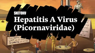 Hepatitis A Virus (Picornaviridae) (Part 1) | Sketchy Medical | USMLE Step 1