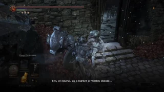 Corvian NPC (death dialogue)