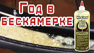 ❗ Hi-Gear Антипрокол через год использования в велопокрышке бескамерно-ч.3