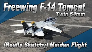 Really Bad Maiden Flight on the New Freewing F-14 (twin 64mm)