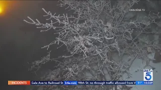 Officials warn of dangerous driving conditions as snow falls along Grapevine