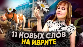 11 НОВЫХ СЛОВ НА ИВРИТЕ, КОТОРЫХ ВЫ ЕЩЁ НЕ ЗНАЛИ. ТЕКСТ "КАК ПРОДАВАТЬ?" ИВРИТ с Валерией.