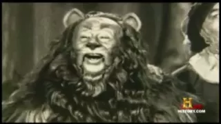 Wizard of Oz Cowardly Lion Costume