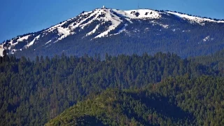 Old Hermit Tells About His Scary Bigfoot Encounter Near California-Oregon Border! - PacWest Bigfoot