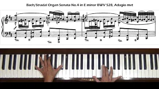 Bach / Stradal Organ Sonata No. 4 in E minor BWV 528 Adagio mvt Piano Tutorial (old)