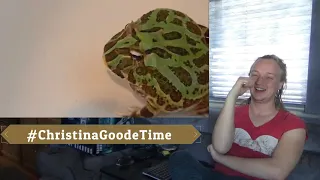 #ChristinaGoodeTime Reaction to ''11 Minutes of Frogs Screaming'' by AGR01