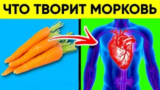 ЧТО творит МОРКОВЬ, врачи ЗНАЮТ, но молчат, даже 2 штуки..... Польза и Вред МОРКОВИ