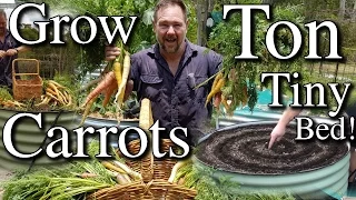 Growing Lots of Carrots in Small Raised Bed Plus Tips!