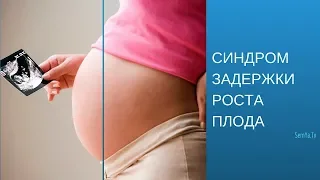 Синдром задержки развития плода (СЗРП) |  Беременность и Роды