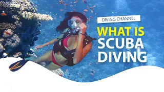 What is Scuba Diving