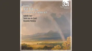 Horn Trio in E-Flat Major, Op. 40: I. Andante (Poco più animato)