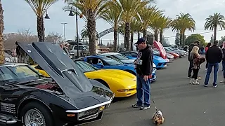 Cars And Coffee In CARMICHAEL