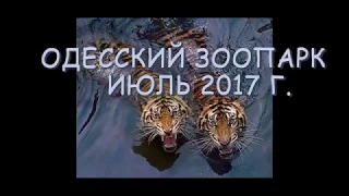 Зоопарк Одесса 2017