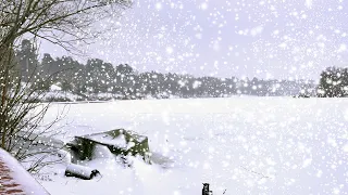 Winter views on a snowy river, heavy snowfall and frosty wind. Sounds of nature without music