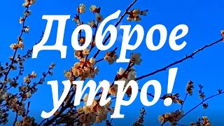 Доброе утро! Цените жизнь ! Она прекрасна! Музыкальная открытка