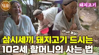 [특종세상] 달달한 커피를 하루에 10잔?! 삼시세끼 돼지고기를 드시는 102세 할머니의 사는 법 MBN 180518 방송 [Full영상]