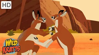 Desert Creatures | Kangaroos, Lizards, Snakes + more! [Full Episodes] Wild Kratts