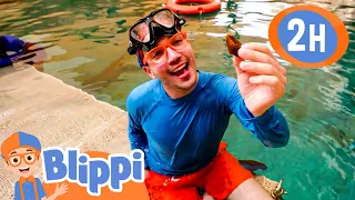 Blippi Searches For the Mother Pearl | Blippi | Kids Songs | Moonbug Kids