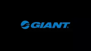 Giant Trance 27 5 Long Term Review