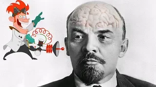 Что удивило советских учёных, которые изучали мозг Ленина